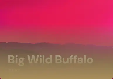 Big Wild Buffalo