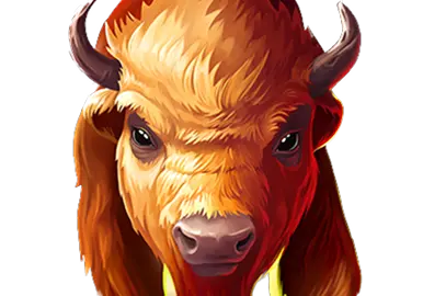 Big Wild Buffalo