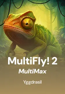 MultiFly! 2 MultiMax